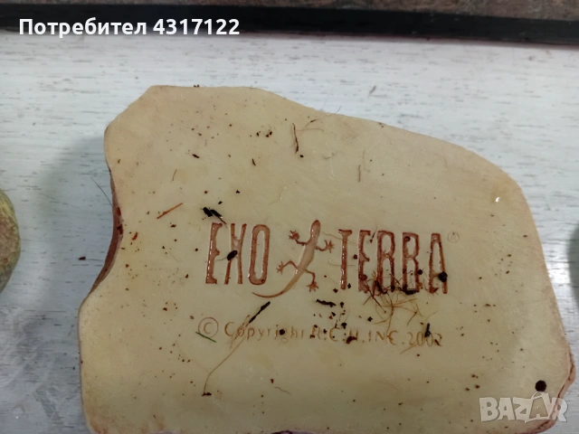 Терариум терариум, снимка 5 - Хамелеон - 53830266