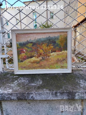 Красота, снимка 2 - Картини - 38713549