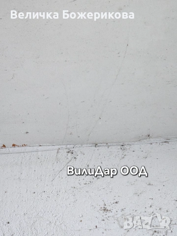 Почистване на вход, снимка 4 - Почистване на входове - 53368426