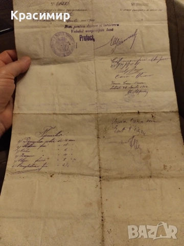 Румънски Паспорт 1904 г., снимка 3 - Други ценни предмети - 52484982