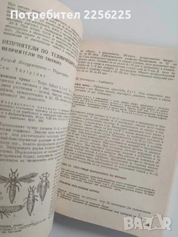 Ентомология - 1988г., снимка 9 - Специализирана литература - 56271410