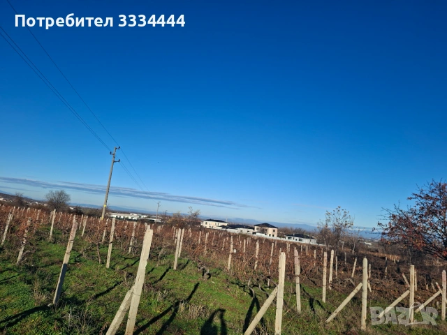 Продавам имот тип лозе, местност "Комсала", с.Марково, гр. Пловдив, снимка 5 - Земеделска земя - 53711451