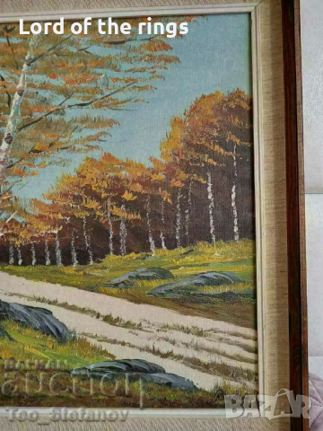 Красива авторска картина. Масло върху платно с подпис, снимка 3 - Картини - 44655025