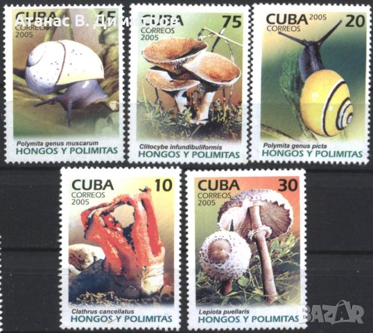 Чиси марки Флора и Фауна, Гъби и Охлюви 2005 от Куба, снимка 1 - Филателия - 41515935