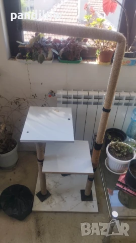 Котешка катерушка