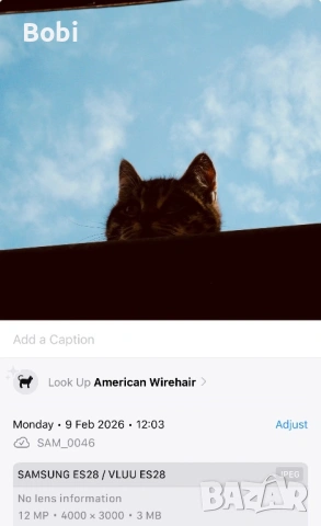 Samsung ES28 – 12MP | 5x Zoom | работи с AA батерии, снимка 4 - Фотоапарати - 53295960