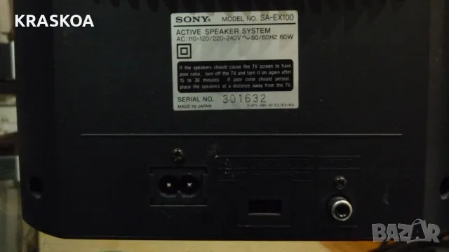 SONY SA-EX100, снимка 7 - Тонколони - 48119015