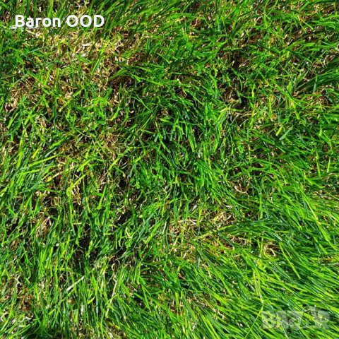 Изкуствена трева - 5 см, снимка 5 - Изкуствени цветя - 39986571