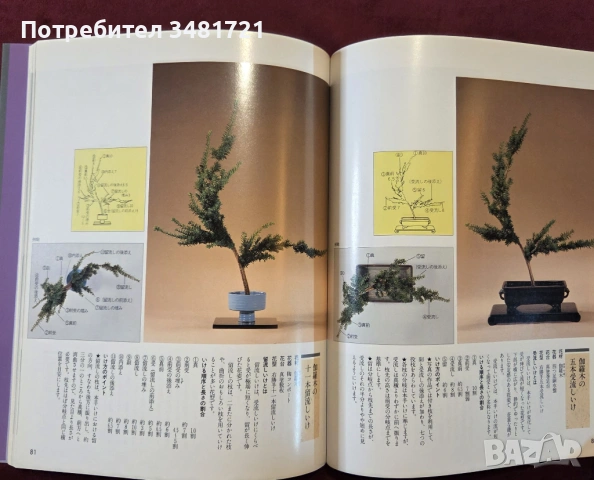 Икебана справочник - история, стилове и традиции / Ikebana, снимка 9 - Енциклопедии, справочници - 53748376