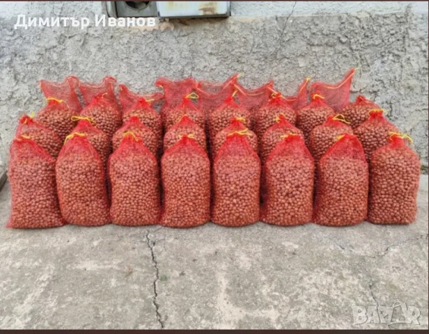 Продавам- лешници, снимка 2 - Други - 55876816