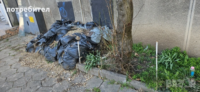 подарявам чакъл, снимка 2 - Други - 53780359