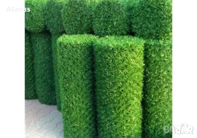 Жив плет, трева, мрежа и ограда, Защита от любопитни съседи!, снимка 3 - Други стоки за дома - 41190683