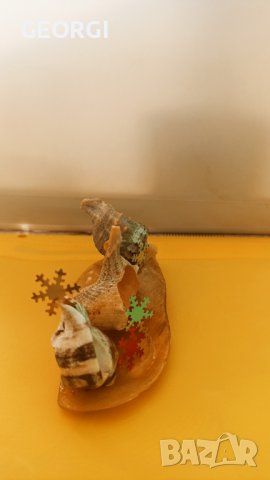 Фантазии, ръчна изработка с морски раковини, снимка 9 - Ръчно изработени сувенири - 42314530