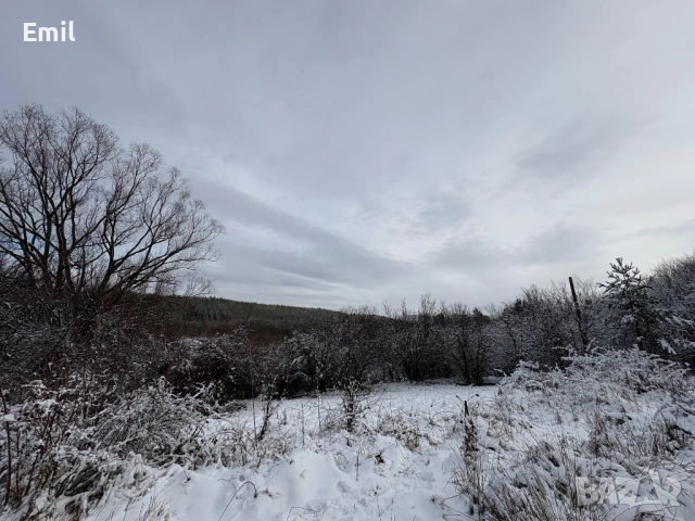 Незастроен парцел в с.Габра, снимка 12 - Парцели - 50706490