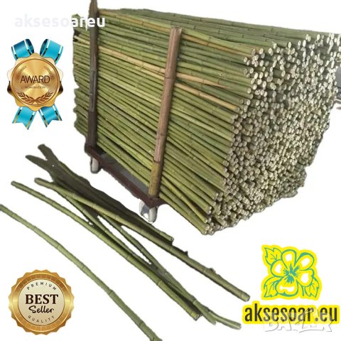 Качествени семена от бамбук Moso Bambo бързо растящи растения за дома бамбуков разсад за украса и де, снимка 9 - Сортови семена и луковици - 41401749