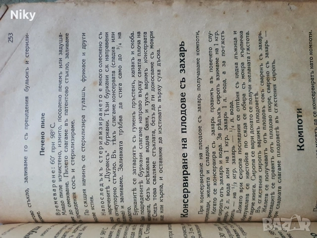 Стара готварска книга от началото на 20 век , снимка 10 - Антикварни и старинни предмети - 53099565