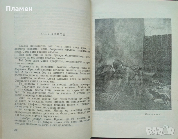 Вестникарчета Цвятко Кафтанджиев , снимка 3 - Българска литература - 53864960