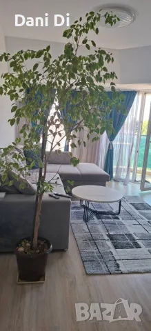 Апартамент в продажба , снимка 9 - Апартаменти - 56281053