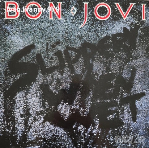 Vinyl (Bon Jovi - Slippery When Wet)