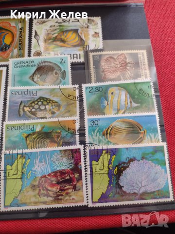 Пощенски марки смесени серия ЕКЗОТИЧНИ РИБИ много красиви за КОЛЕКЦИЯ 37888 , снимка 2 - Филателия - 40455166