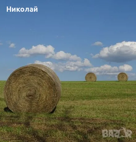 Продавам ЛЮЦЕРНА 2025., снимка 2 - За селскостопански - 50096985