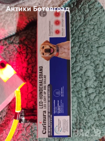 Светещи каишки за куче , снимка 4 - За кучета - 50801078