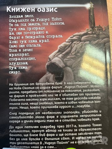 “Прокълнатият фар Уидоус Пойнт” от Р.Чизмар, снимка 2 - Художествена литература - 39768880