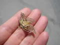 СТАРА СРЕБЪРНА БРОШКА ПЕПЕРУДА ФИЛИГРАН , снимка 5