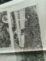 Отечествен фронт и Работническо дело 26.I. 1950, снимка 4