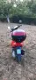 Piaggio Typhoon 49cc С ДОКУМЕНТИ , снимка 4