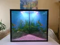 Ъглов аквариум , снимка 10