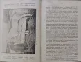 Коневъдство Павелъ Кулешовъ /1892/, снимка 11
