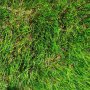 Изкуствена трева - 5 см, снимка 5