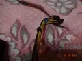 Две захранвания   be quiet и Corsair, снимка 8