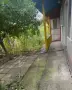 Продавам лозе в гр. Добрич, снимка 2