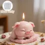 3D спящо прасе прасенце върху възглавничка силиконов молд форма свещи гипс сапун смола , снимка 1