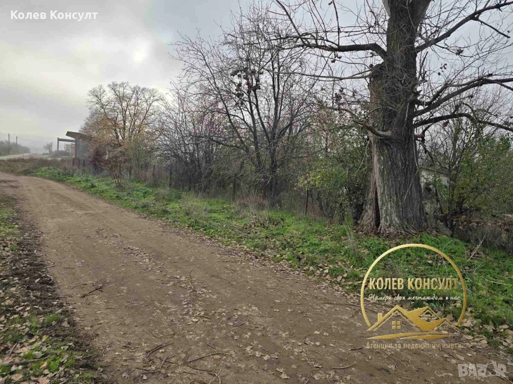 Продавам парцел в село Добрич, снимка 1