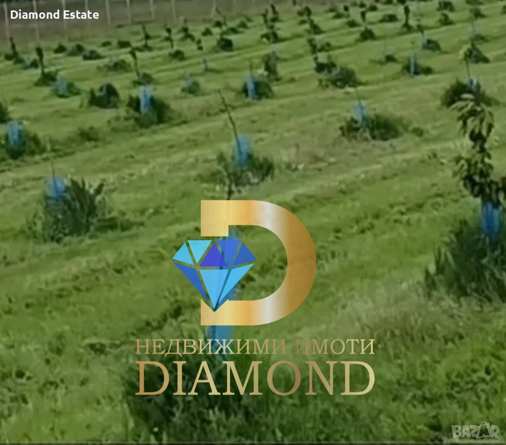 Черешова градина в село Крепост, общ. Димитровград, снимка 1