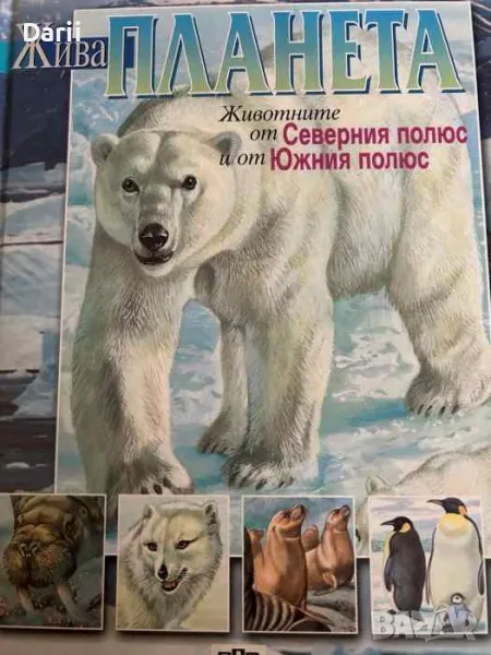 Жива планета: Животните от Северния полюс и от Южния полюс, снимка 1