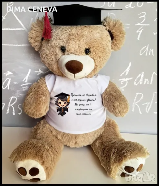 Абитуриент мече шапка и тениска, снимка 1