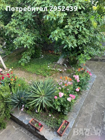 Къща за гости, снимка 9 - Къщи - 36007488