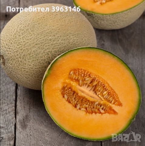 Семена за Стотинки, снимка 18 - Сортови семена и луковици - 52838410