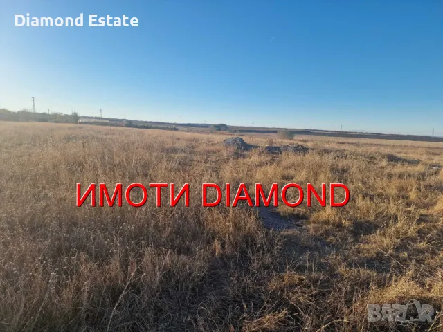 Земеделска земя в село Радиево общ. Димитровград, снимка 5 - Земеделска земя - 47924561