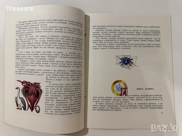 Увиденное невидимое - М. Аспиз, снимка 10 - Енциклопедии, справочници - 48752633