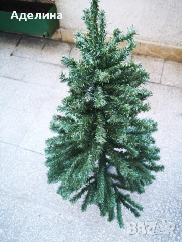 Коледна елха 