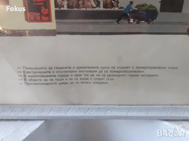 Уникален плакат картина с рамка Соц. лозунги животновъдни, снимка 3 - Антикварни и старинни предмети - 53395212