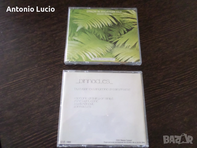 Edgar Froese / Tangerine dream - 2cd, снимка 2 - CD дискове - 51594621