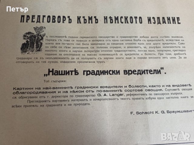 Царство България-Илюстрованъ Албумъ- Агрономия, снимка 3 - Антикварни и старинни предмети - 41481502