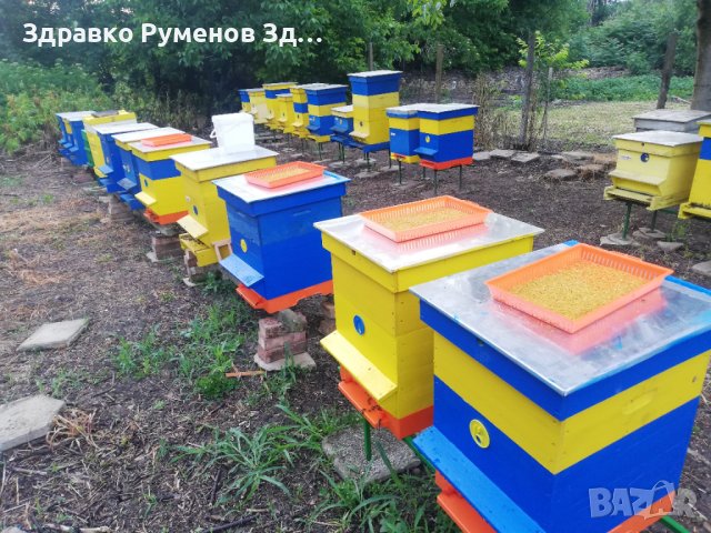 Пчелен прашец - 2025 година, снимка 4 - Пчелни продукти - 41354145