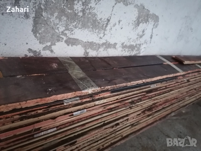 Ламперия, сачак